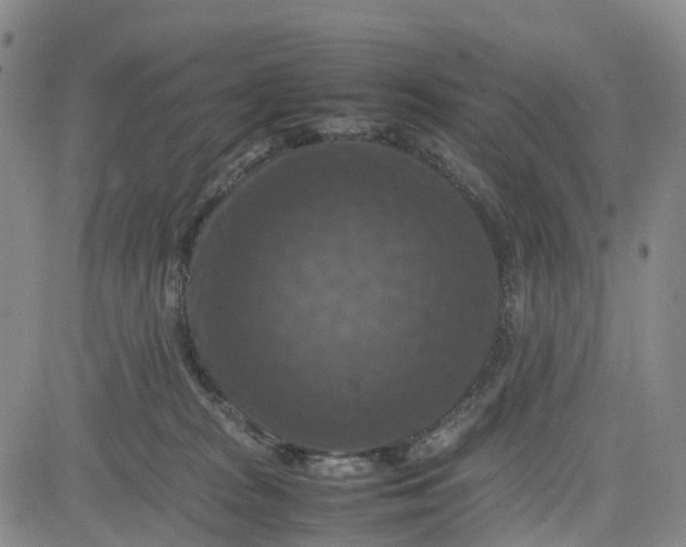 X0000080750277200701021038