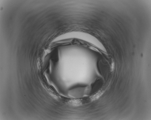 X0000080750280200701021039