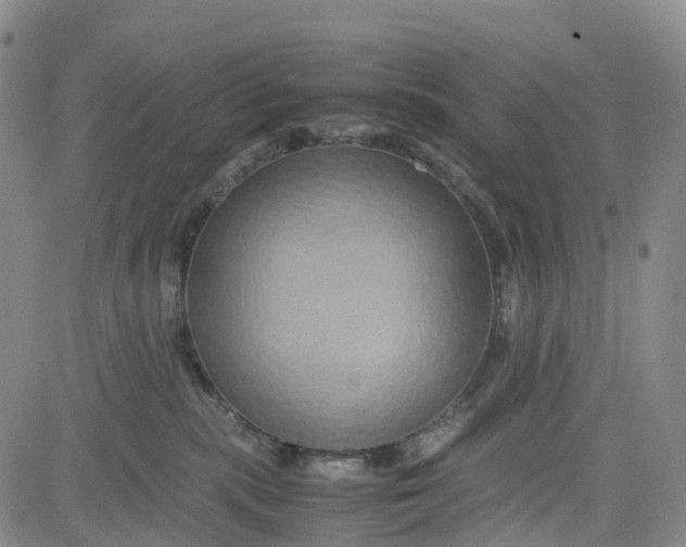 X0000080750283200701021039