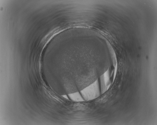 X0000080750290200701021038