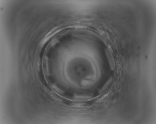 X0000080750295200701021038