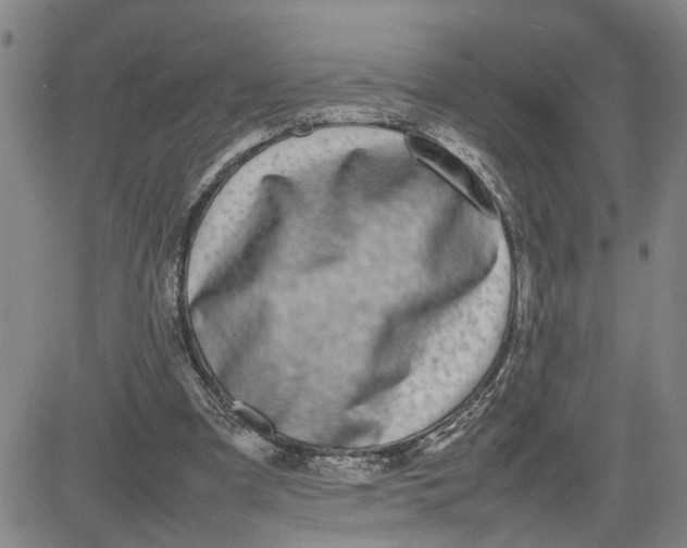X0000080750297200701021038