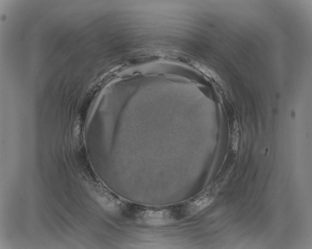 X0000080750314200701021037