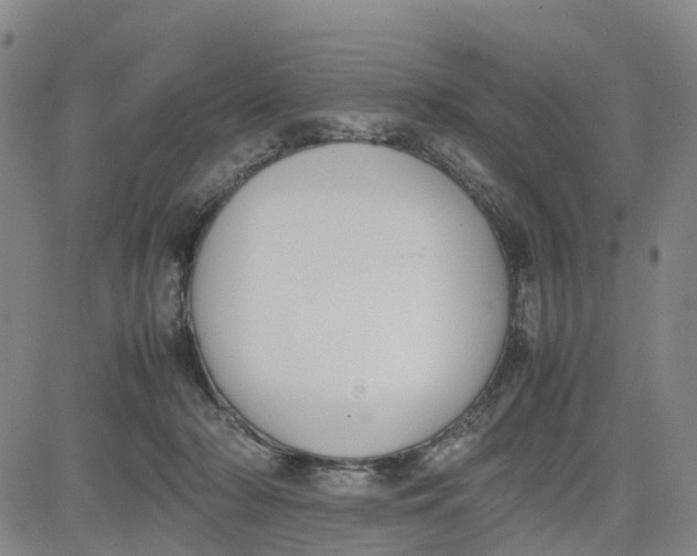 X0000080750318200701021037