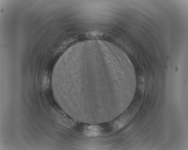 X0000080750324200701021037