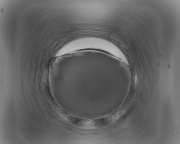 X0000080750325200701021037