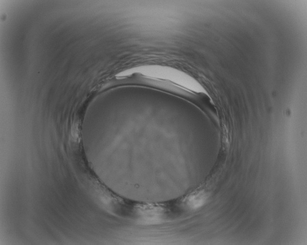 X0000080750331200701021037