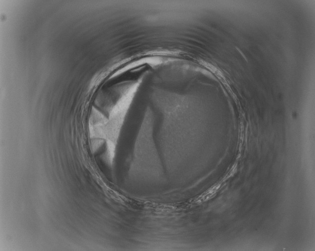 X0000080750337200701021036