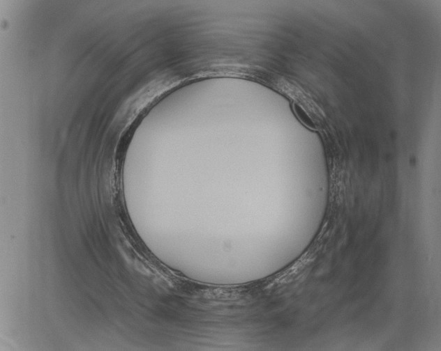 X0000080750338200701021036