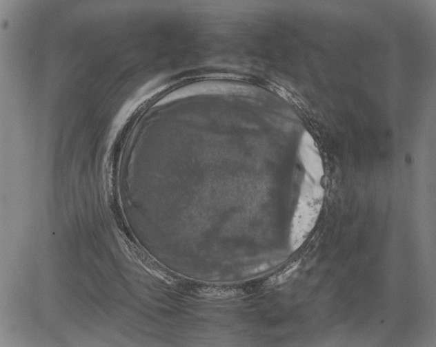 X0000080750343200701021036