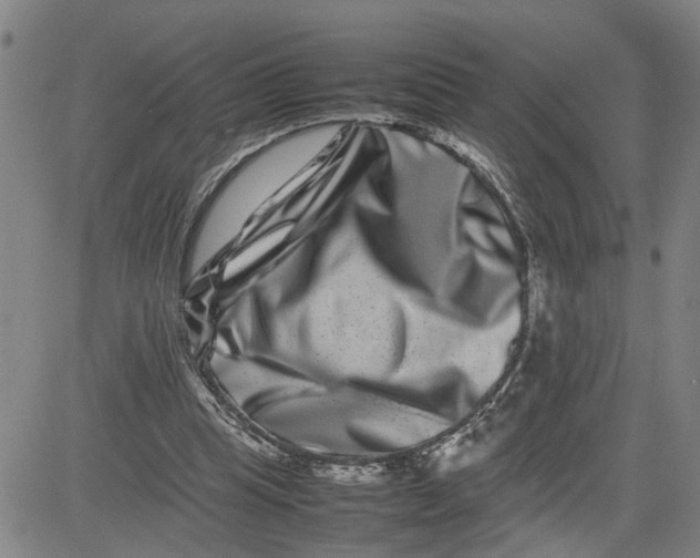 X0000080750345200701021036