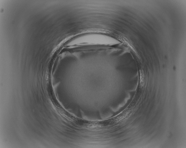 X0000080750348200701021036