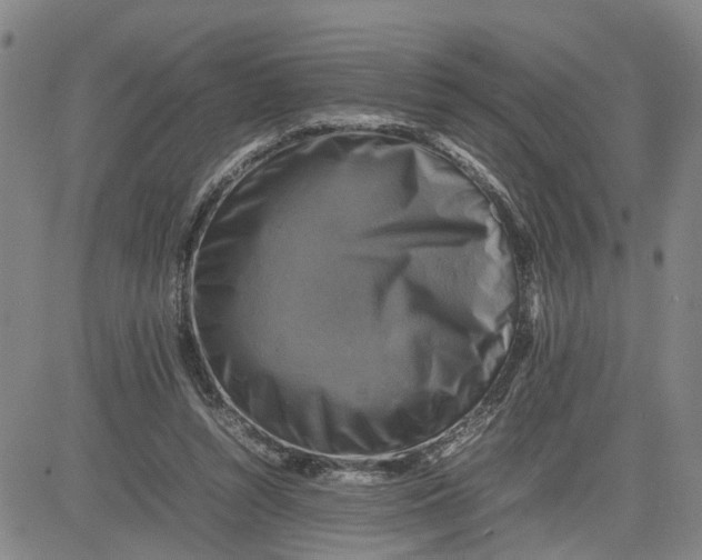 X0000080750352200701021037