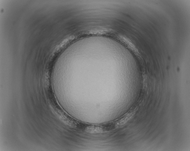 X0000080750354200701021037