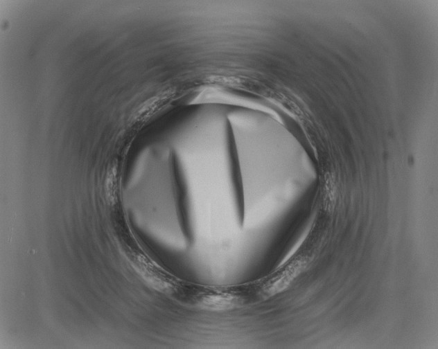 X0000080750364200701021037