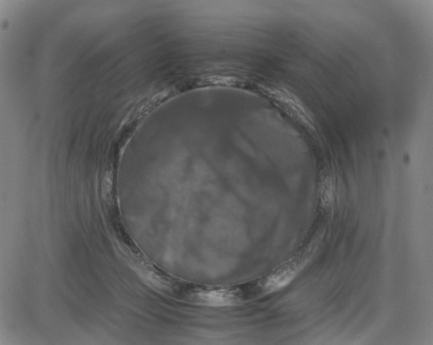 X0000080750365200701021037
