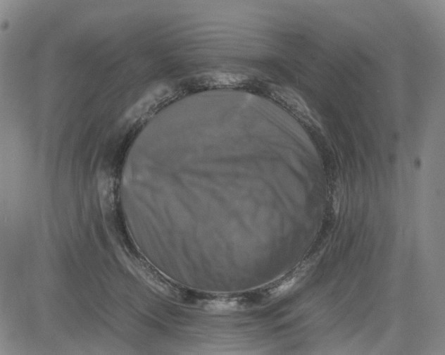X0000080750366200701021037