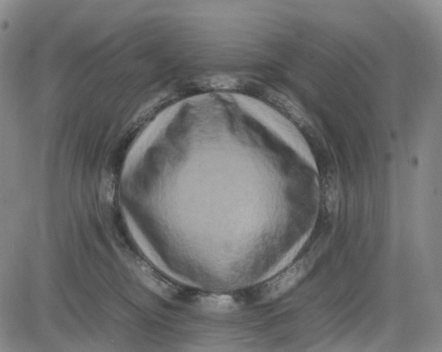 X0000080750374200701021037