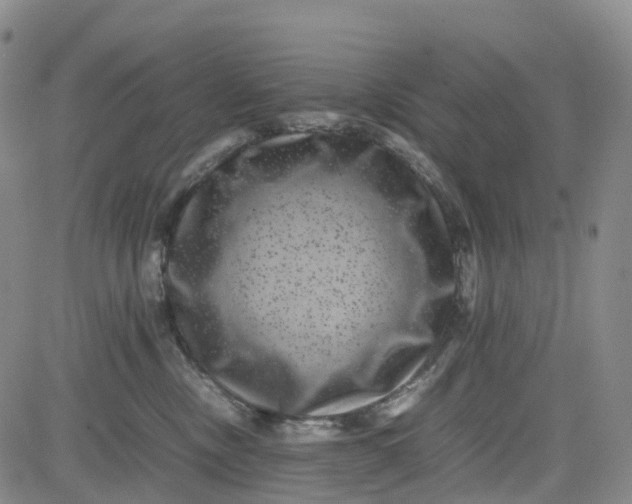 X0000080750378200701021037
