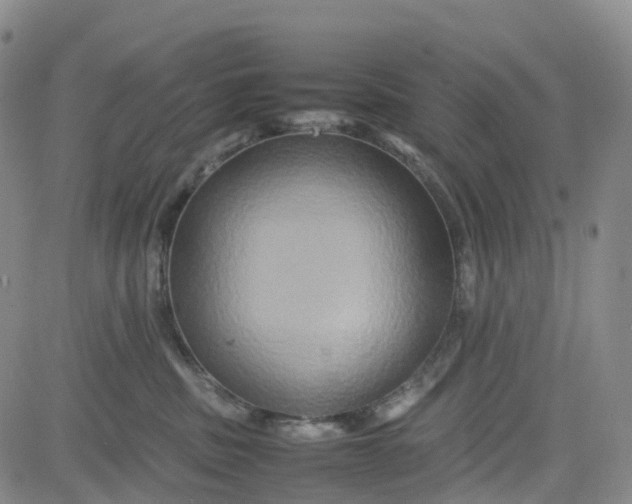 X0000080750379200701021037