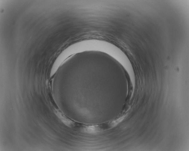 X0000080750382200701021037
