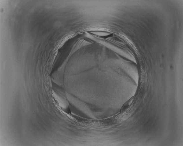 X0000080750385200701021036