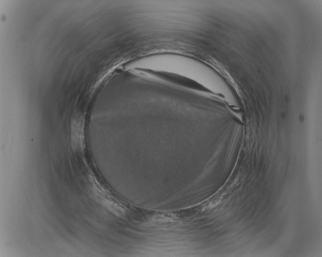 X0000080750386200701021036