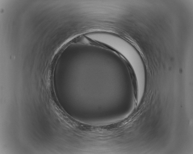 X0000080750387200701021036
