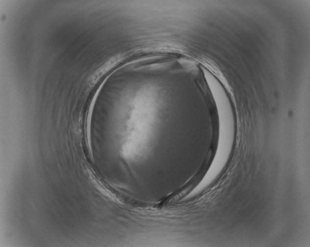 X0000080750389200701021036