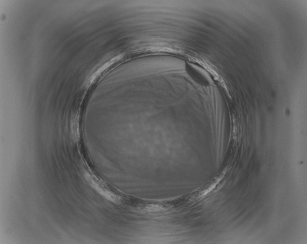 X0000080750390200701021036