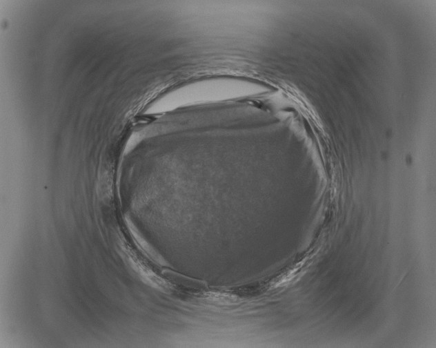 X0000080750393200701021036