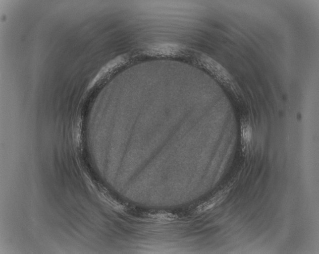 X0000080750396200701021036