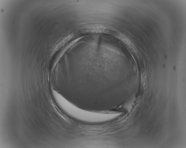 X0000080750397200701021036