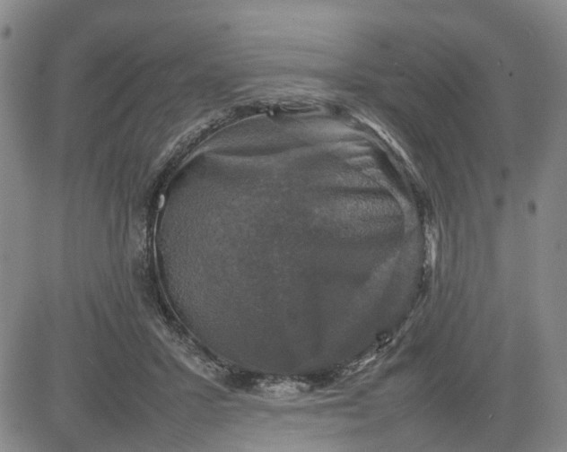X0000080750407200701021036