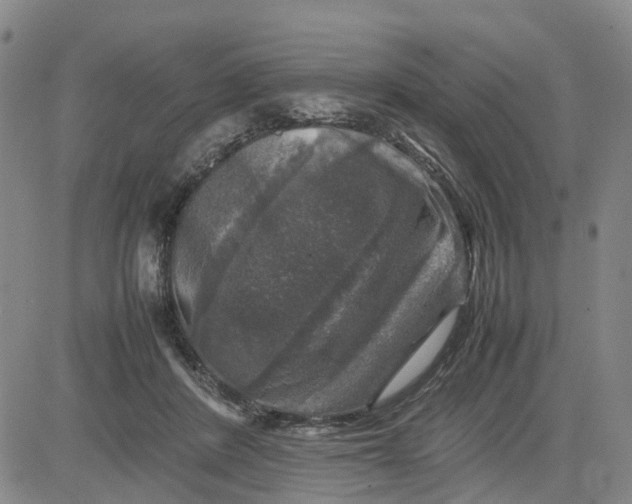 X0000080750408200701021036