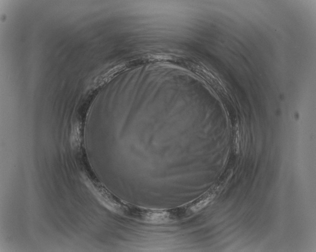 X0000080750410200701021036