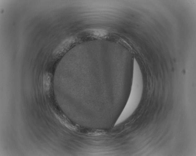X0000080750412200701021036