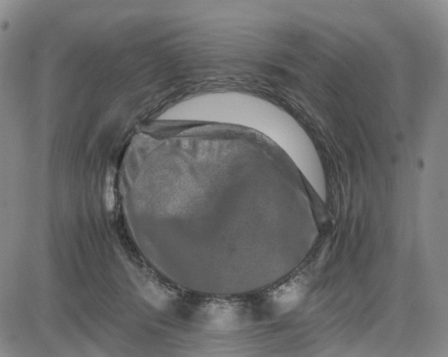 X0000080750416200701021036