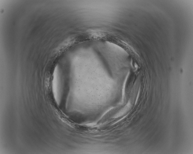 X0000080750417200701021036