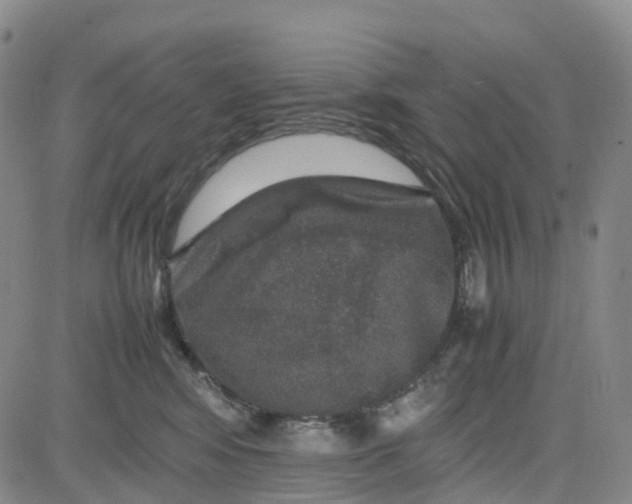 X0000080750424200701021036
