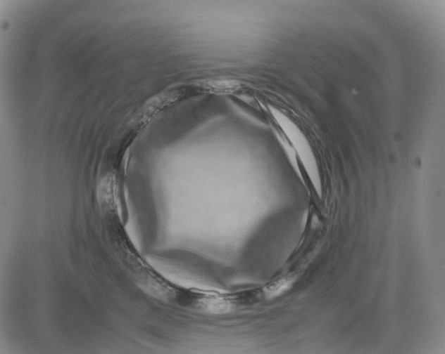X0000080750425200701021036