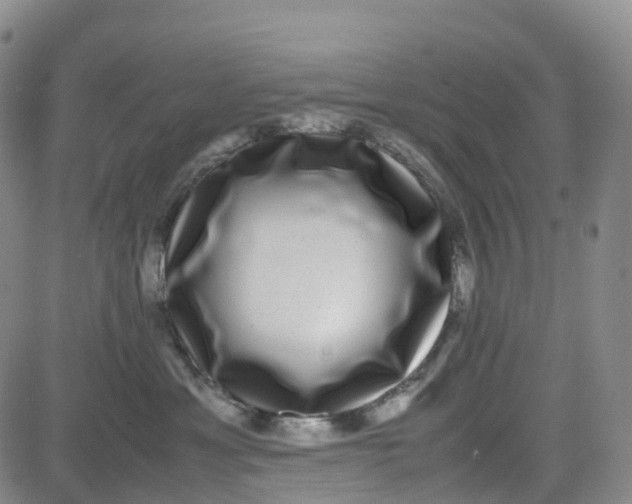 X0000080750429200701021036