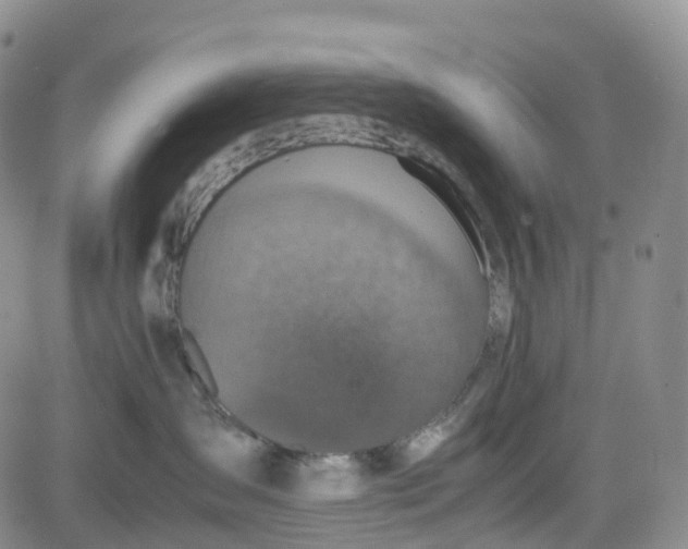 X0000080750431200701021036