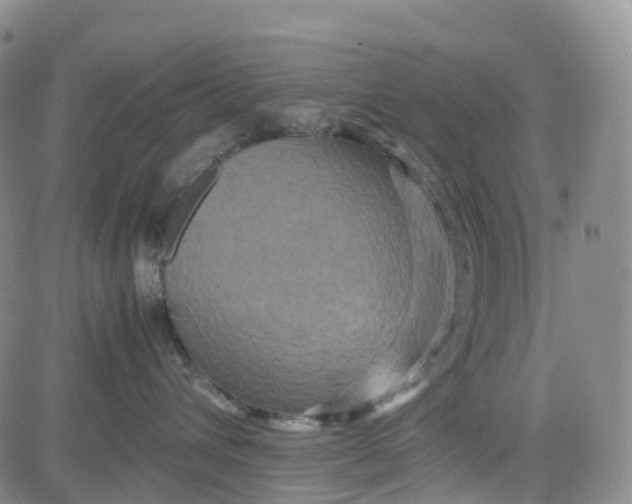 X0000080750432200701021035