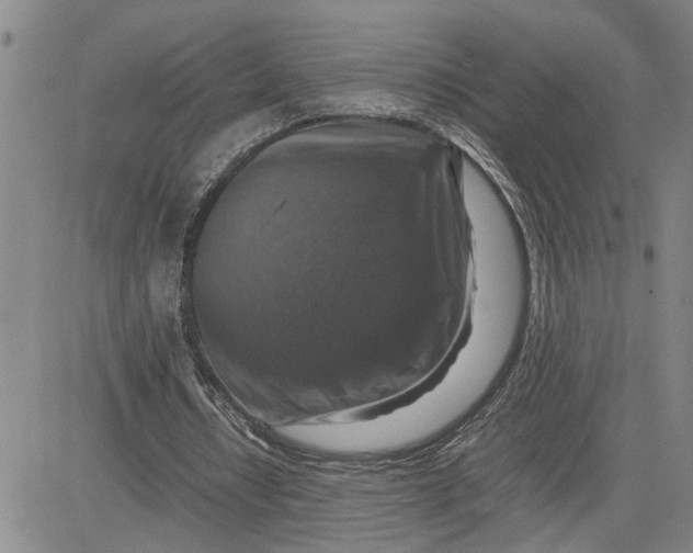 X0000080750434200701021035