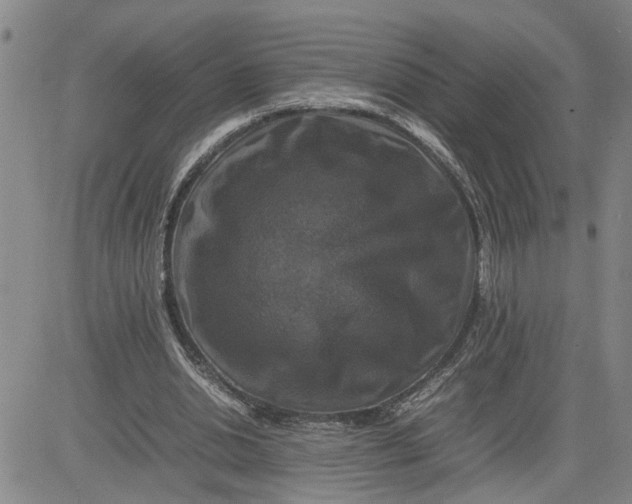 X0000080750438200701021035