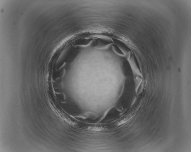 X0000080750440200701021035