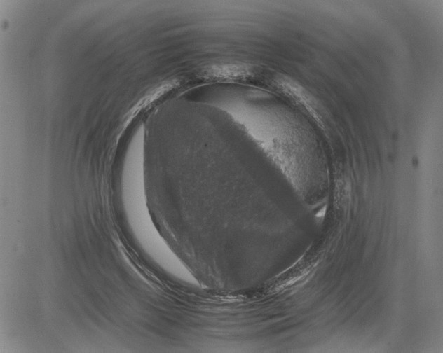 X0000080750443200701021035