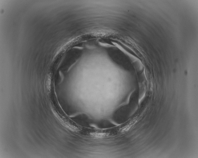 X0000080750448200701021035