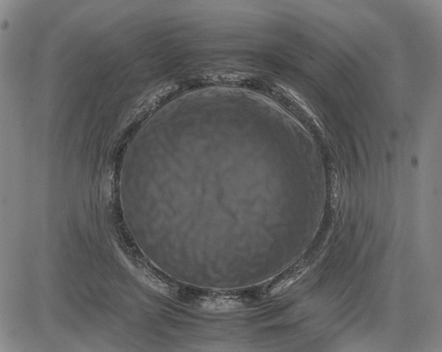 X0000080750451200701021035